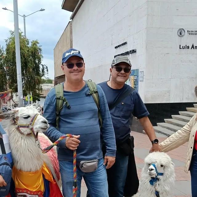 Turistas de Puerto Rico con llamas en un tour por Colombia